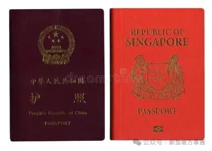 新加坡护照图片-新加坡护照素材-新加坡护照插画-摄图新视界