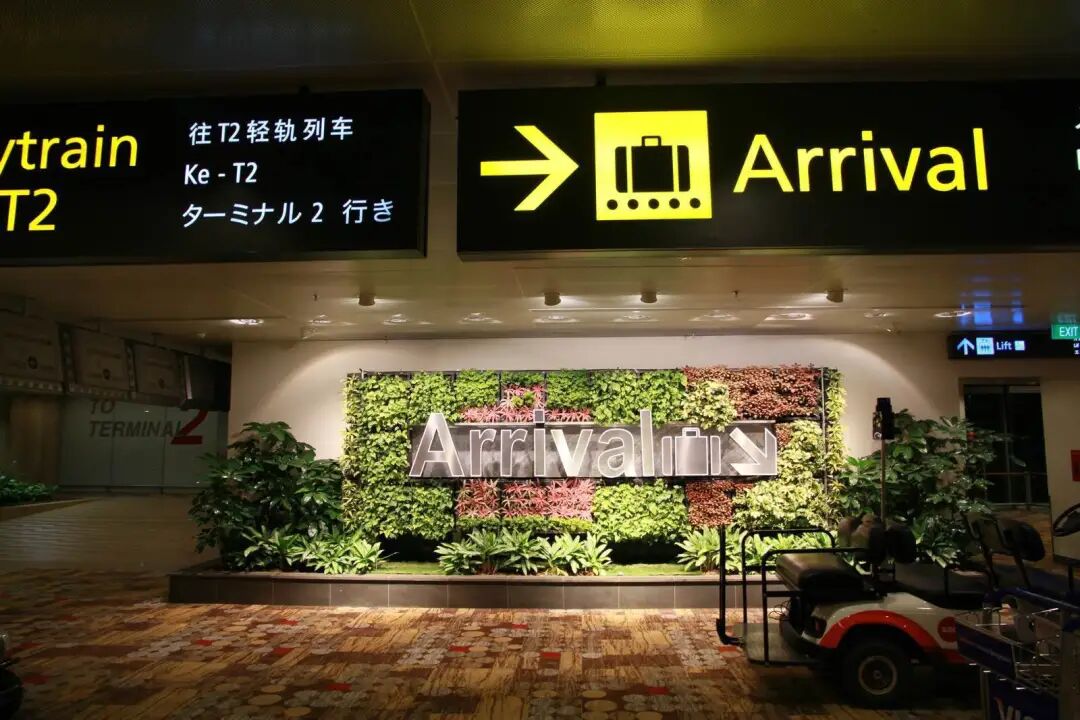 新加坡批了1000多份入境免隔离！上海、重庆和广东快捷通道入境申请大量获批（组图） - 6