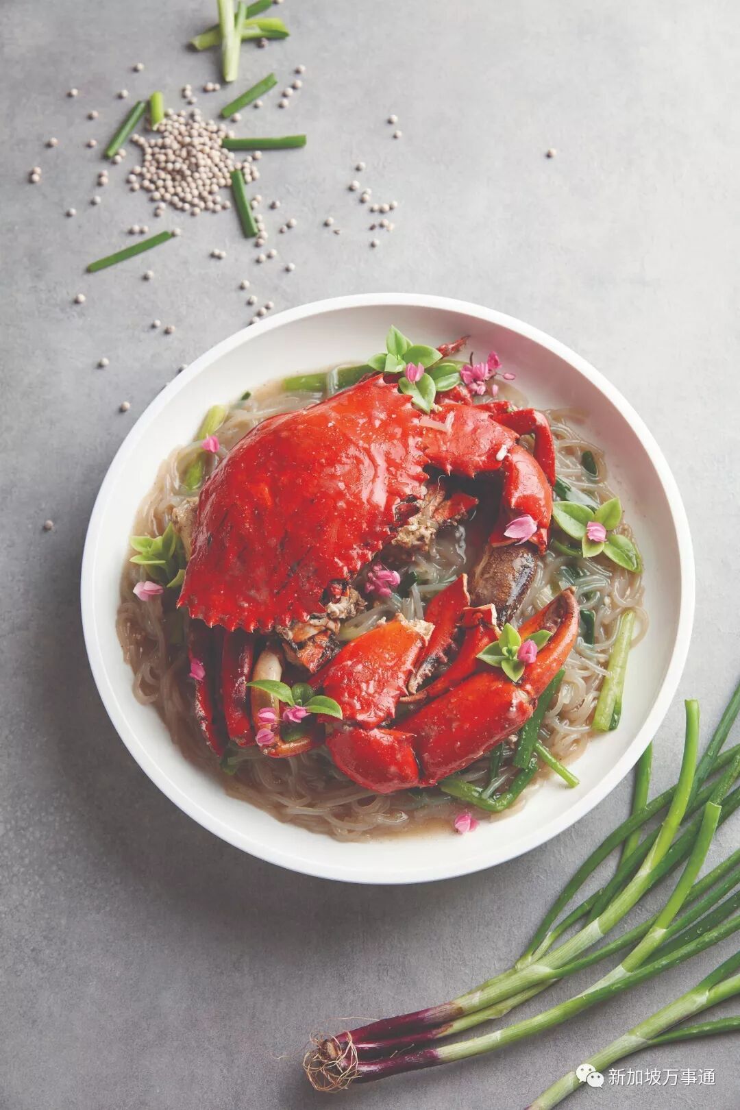 无招牌出新菜单啦 中餐西吃好吃到炸裂 新加坡万事通 微信公众号文章阅读 Wemp