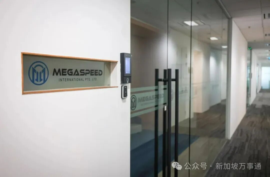 Megaspeed, Singapore firm at centre of US Nvidia chip probe, goes dark -  The Business Times