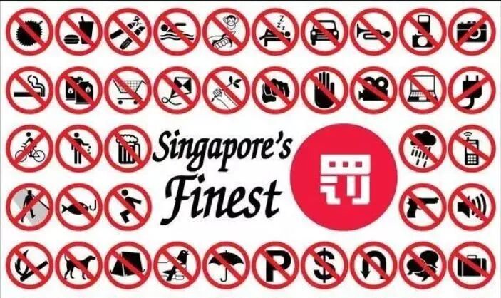 新加坡被评为全球最安全的地方！网友：安全到变态，全世界都羡慕（组图） - 23