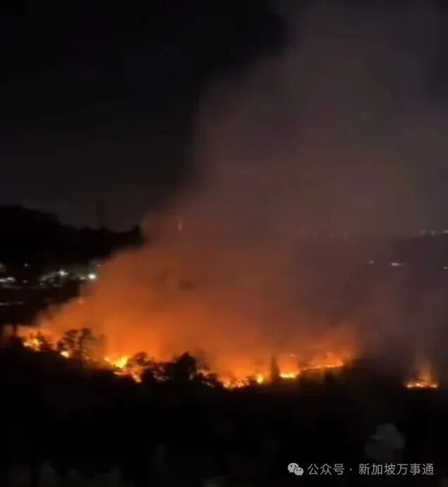 （已签发）柔：新山依城二丛林起火   呈一片骇人火海
