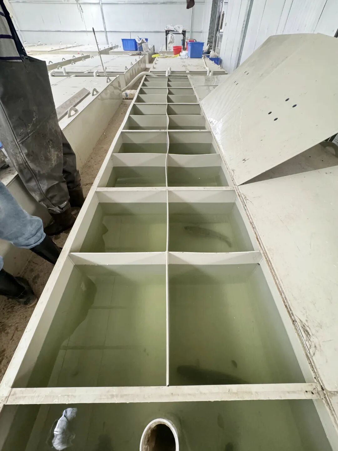 水上春耕正当时,海大集团以"良种 良法 良养"保障水产种苗供应