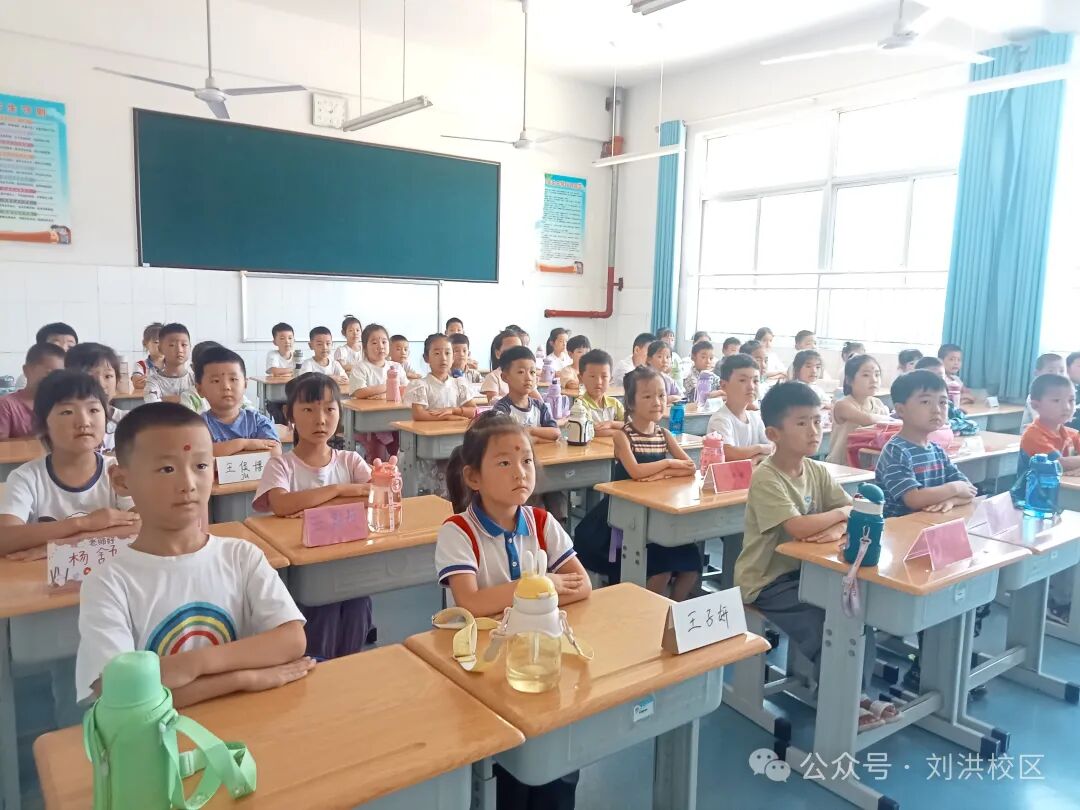 相遇刘洪绽放美好蒙阴一小刘(图12)