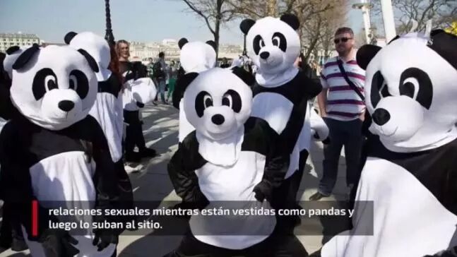 这家全球最大的成人网站，保存着西方媒体最后的良心