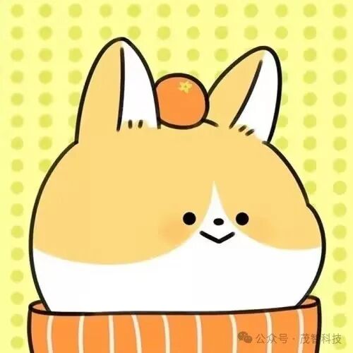 公认十大最好的防脱洗发水！让脱发走远远！