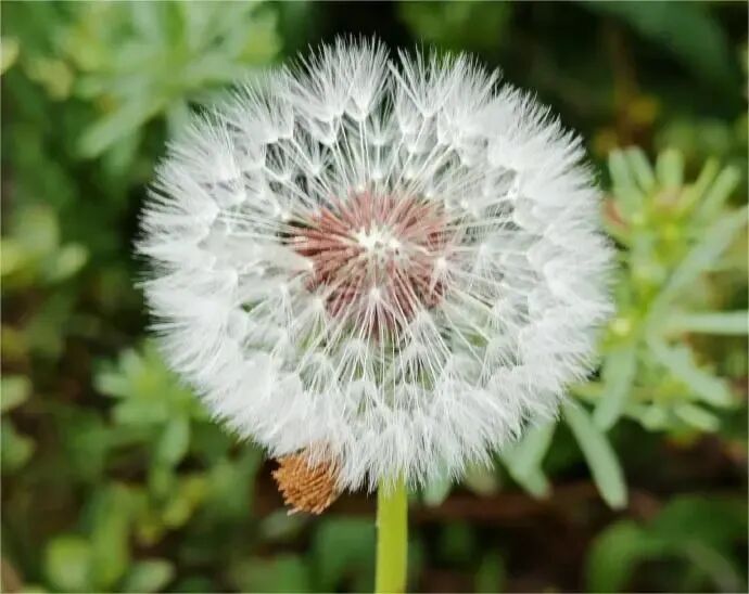 要不要使用AI工具创作？