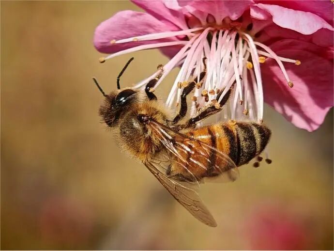 要不要使用AI工具创作？