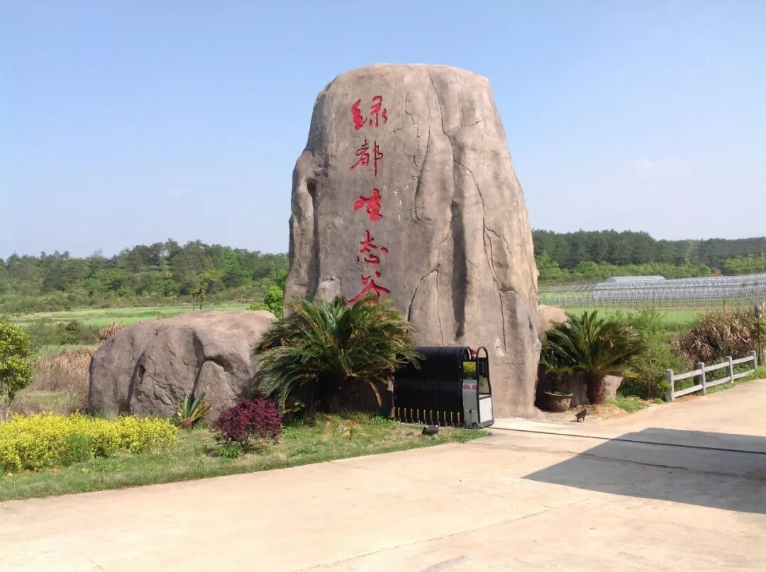 全省优待证通用十二,安义县绿都生态谷地址:南昌市郊西山梅岭脚下.