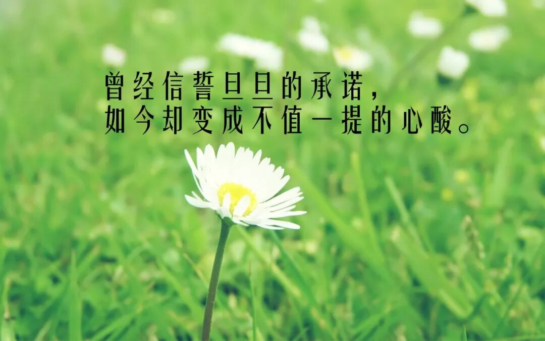 心灵深处的懂得,胜过万语千言;精神层次的认同,超越风尘俗世.
