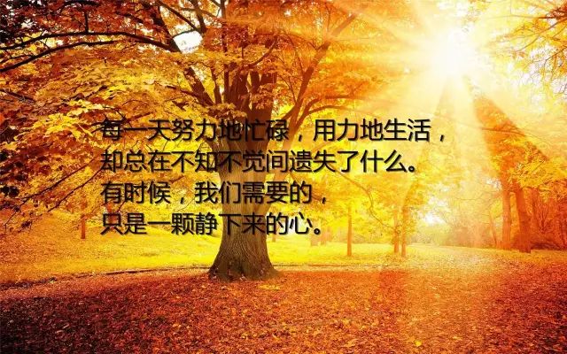 人生感悟的名人名言(人生感悟名人名言经典语录)深度揭秘 - 故事屋