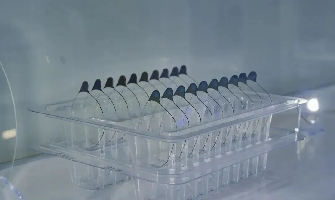 当AI眼镜走向规模化，这家企业如何重构光学赛道