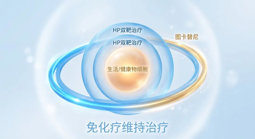 一张抽象医学插画，展示了在HER2阳性乳腺癌维持治疗阶段‘做加法’的概念。中心是一个代表生命的柔和发光球体，外围有两层代表‘HP双靶治疗’的蓝色半透明保护罩，最外层正在增加一圈更明亮、更坚固的‘图卡替尼’光环，寓意更强的靶向保护和免化疗的轻盈感。
