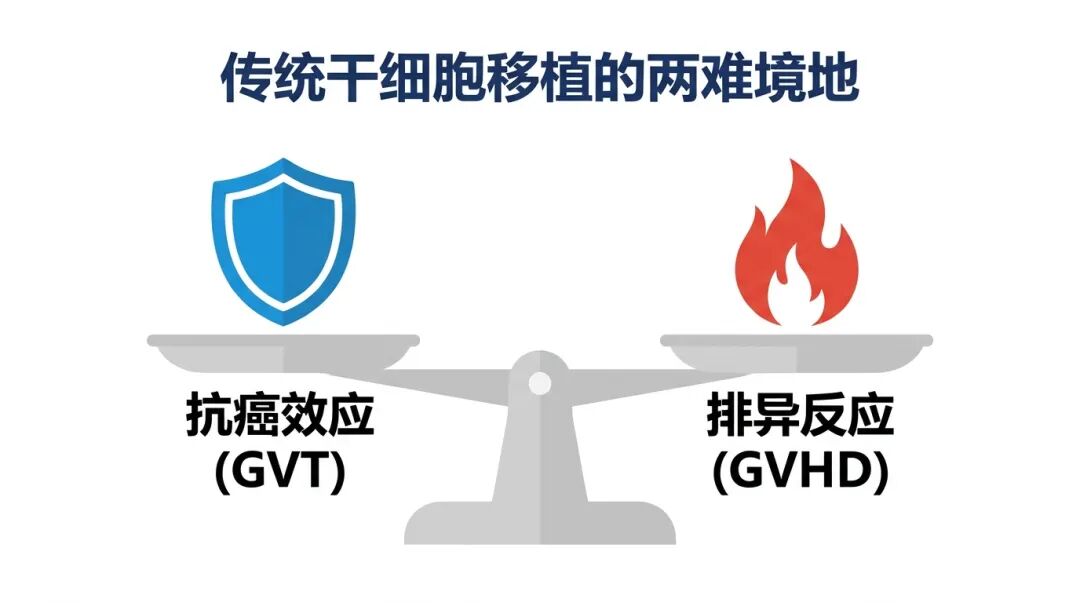 传统干细胞移植中抗癌效应与排异反应的两难境地