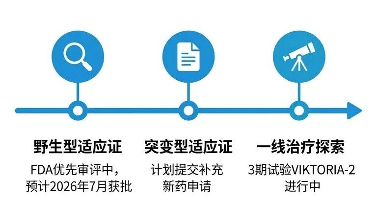 Gedatolisib FDA审批进度与未来展望时间轴