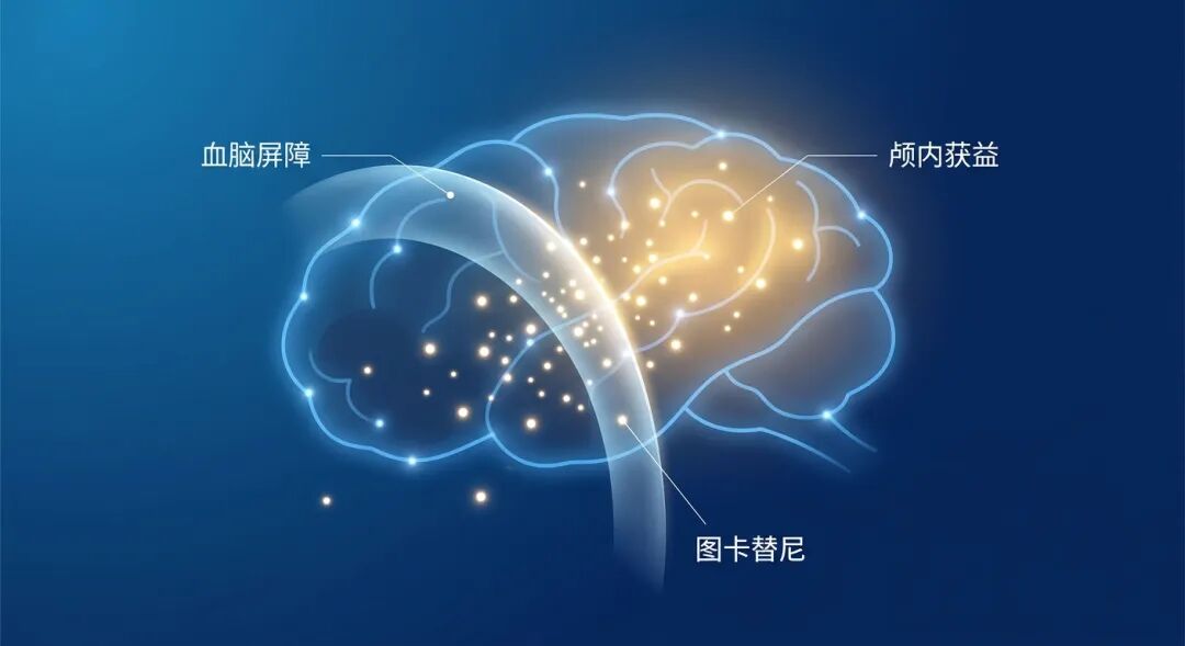 医学插画：展示小分子药物图卡替尼穿透血脑屏障的过程。画面中，代表药物的明亮光点穿过一层半透明的能量屏障（血脑屏障），点亮了原本暗淡的大脑内部，寓意其对脑转移病灶的精准治疗和带来的生存希望。色调采用盛诺一家品牌蓝，风格专业且温暖。