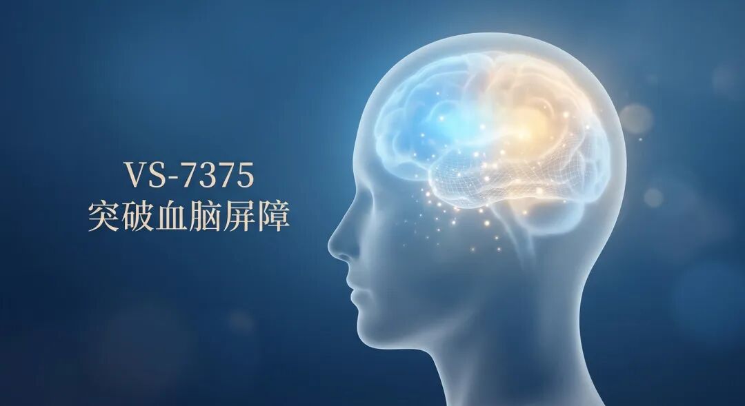 一张充满人文关怀的抽象医学插画：半透明的玻璃质感头部轮廓中，大脑区域正亮起治愈的蓝色与暖金色光芒，象征着新药 VS-7375 成功突破血脑屏障，为 KRAS G12D 突变的肺癌脑转移患者点燃生命希望。