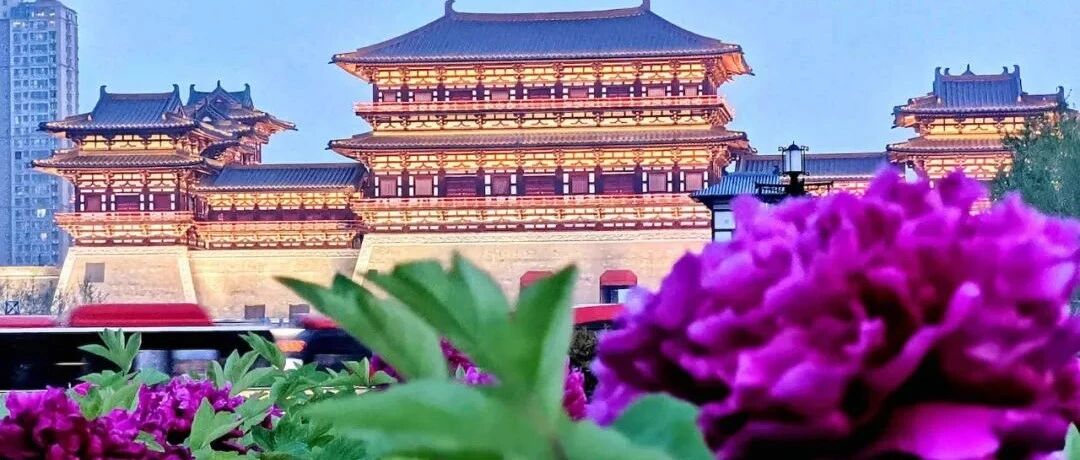 “豫”见河南！河南哪些美食最“得劲”？看霍尊的推荐→