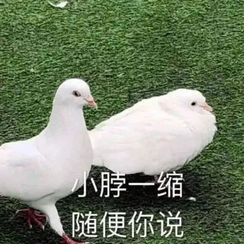 父母知道儿女恋爱了的15个反应,第一个呵呵呵-微信头条网 父母知道儿女恋爱了的15个反应,第一个呵呵呵