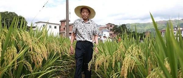 主播说联播 | 袁隆平带研究生有一项“特别”要求，海霞：背后有深意