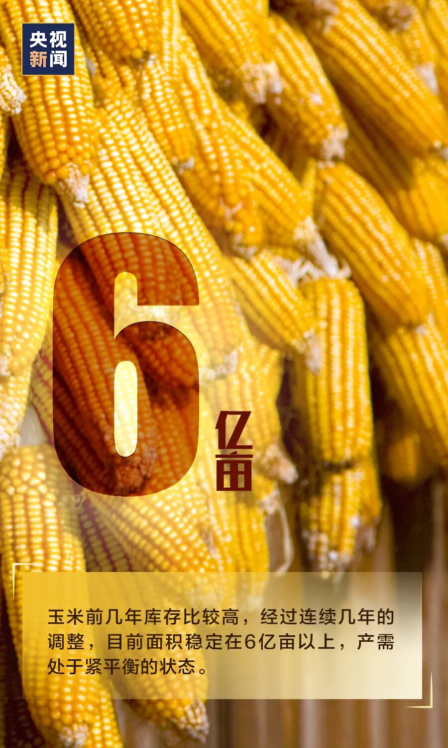 「需不需要“囤粮”？看完这组数据，心里就有底了」需不需要“囤粮”？看完这组数据，心里就有底了