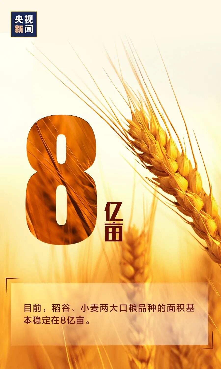 「需不需要“囤粮”？看完这组数据，心里就有底了」需不需要“囤粮”？看完这组数据，心里就有底了