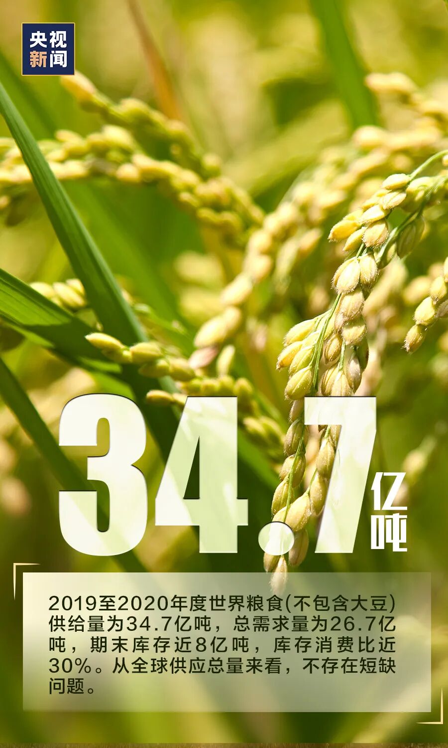 「需不需要“囤粮”？看完这组数据，心里就有底了」需不需要“囤粮”？看完这组数据，心里就有底了