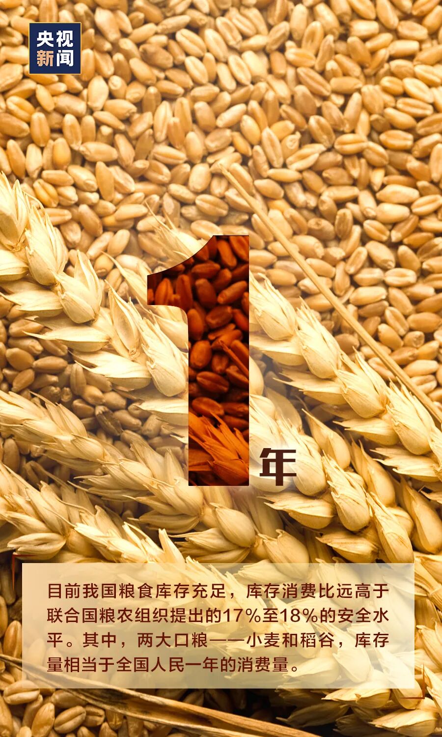 「需不需要“囤粮”？看完这组数据，心里就有底了」需不需要“囤粮”？看完这组数据，心里就有底了