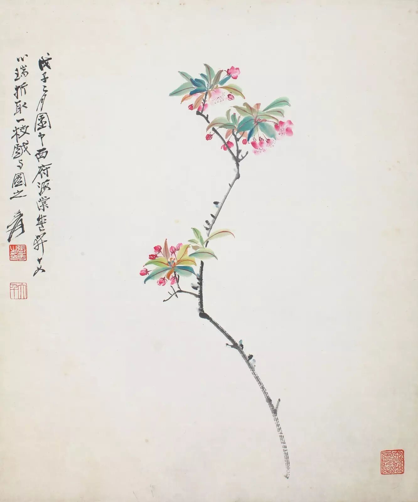 二十四节气春分海棠依旧应是绿肥红瘦