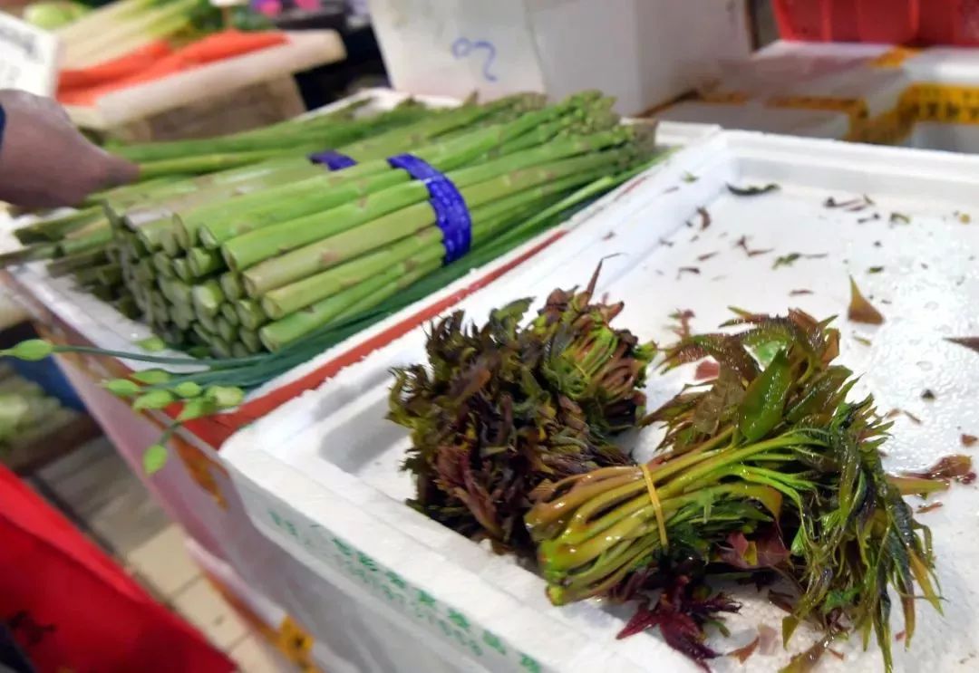 皂甙 吃了一盘香椿炒蛋，竟器官衰竭！这些菜吃前要先做一件事→