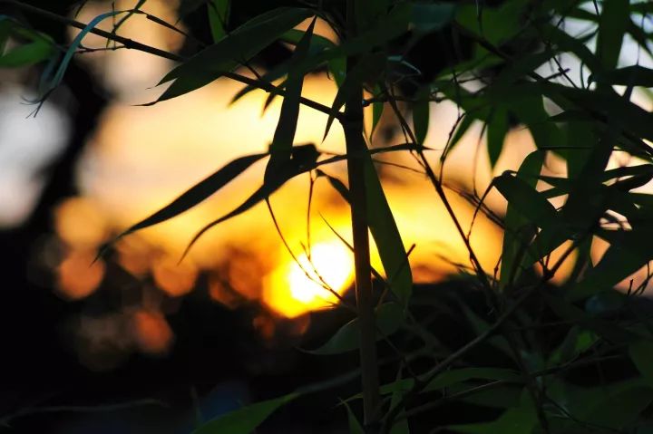 永遠不要用你的現狀，判斷你的未來 職場 第4張