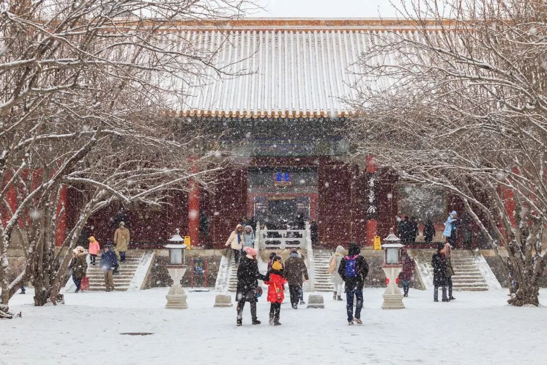 目前正在下雪的城市_城市天际线如何下雪_上海下雪城市