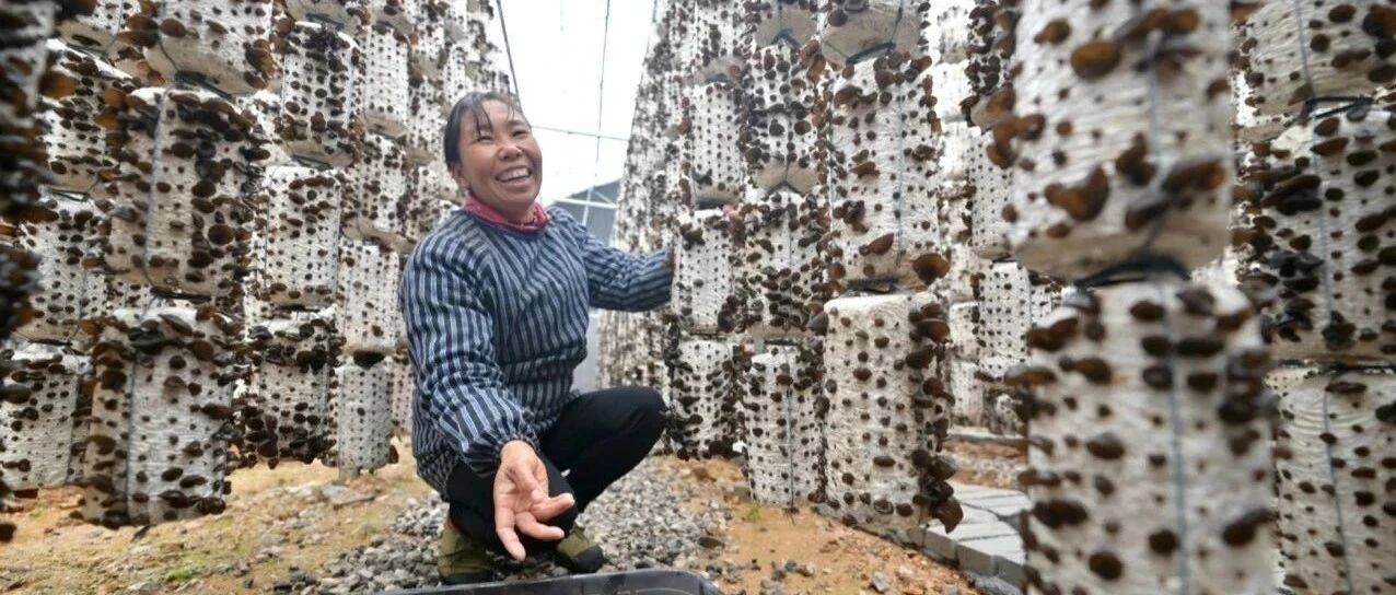 2021，民生够香！