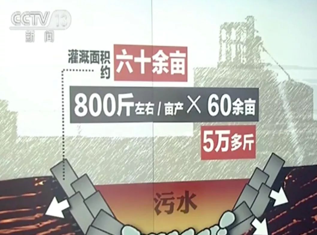 水污染无形中侵害着我们的身体，腐蚀着我们的健康！而你还在用身