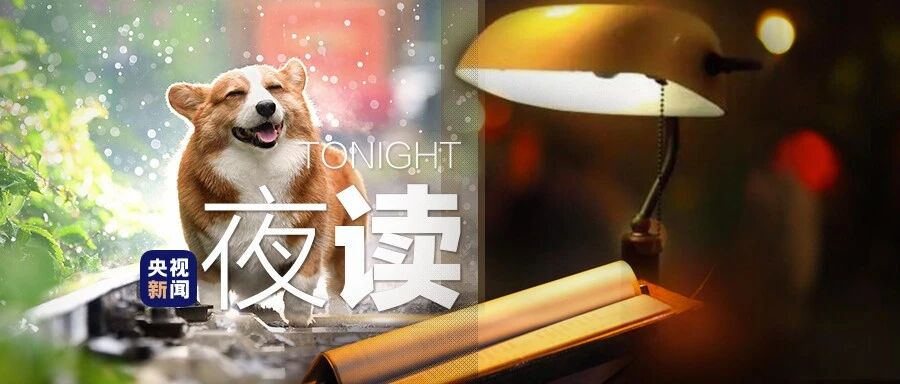 它只是你的一部分，而你是它的全部