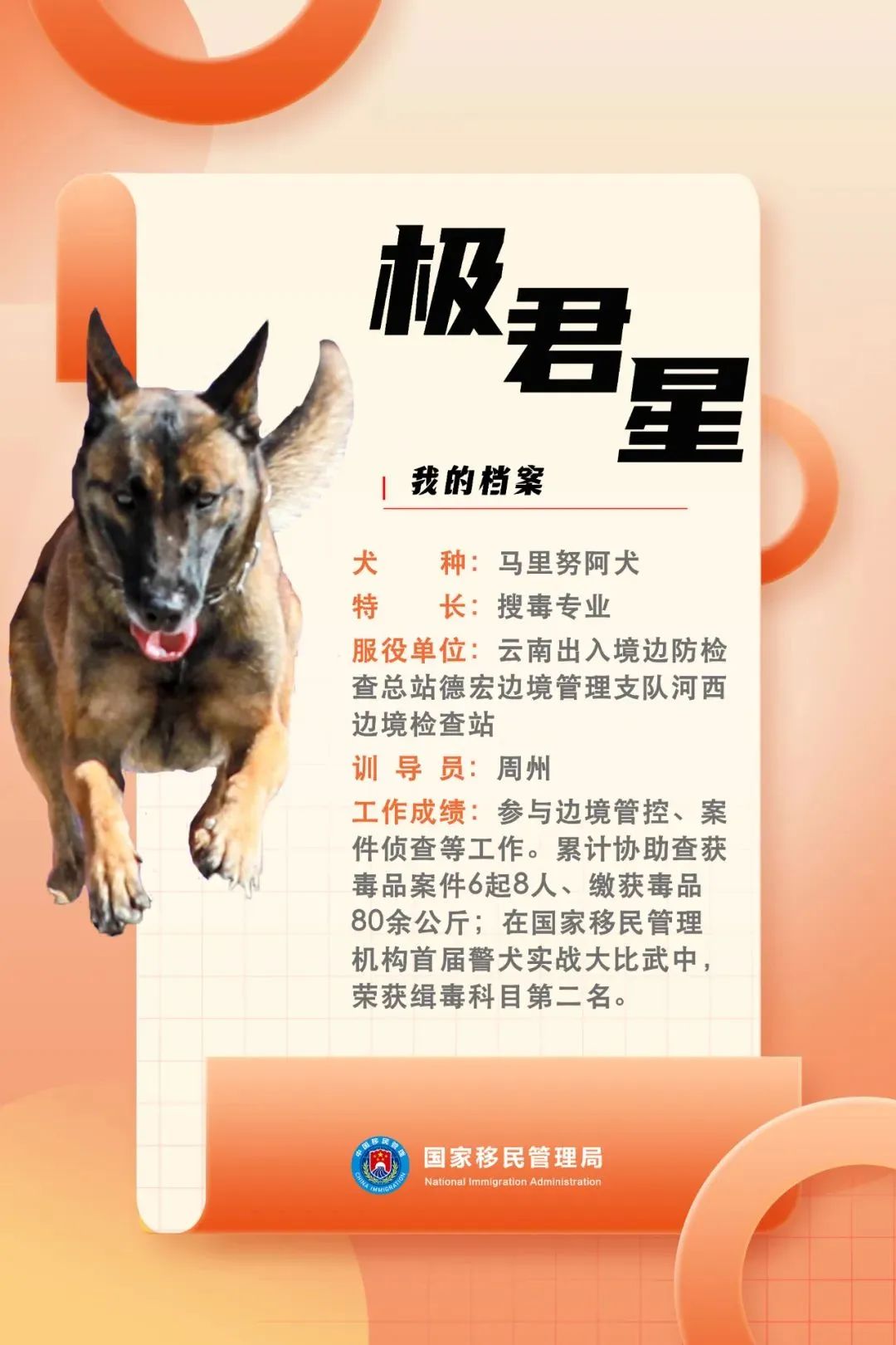 功勋犬墓碑图片