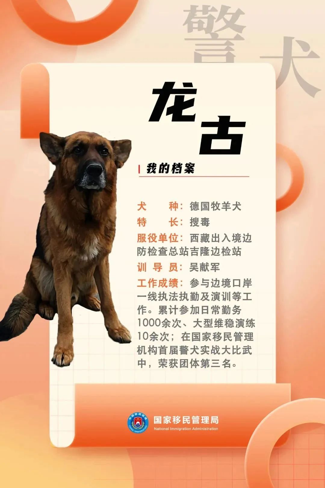 功勋犬墓碑图片