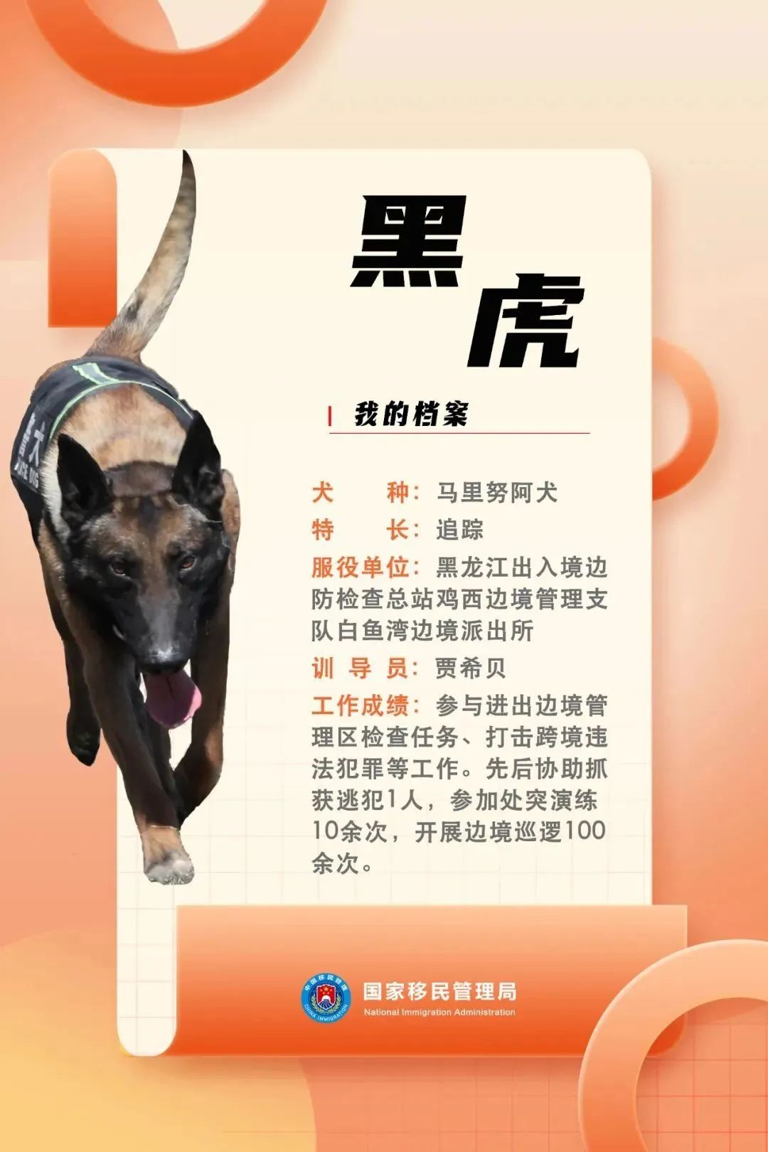 功勋犬墓碑图片