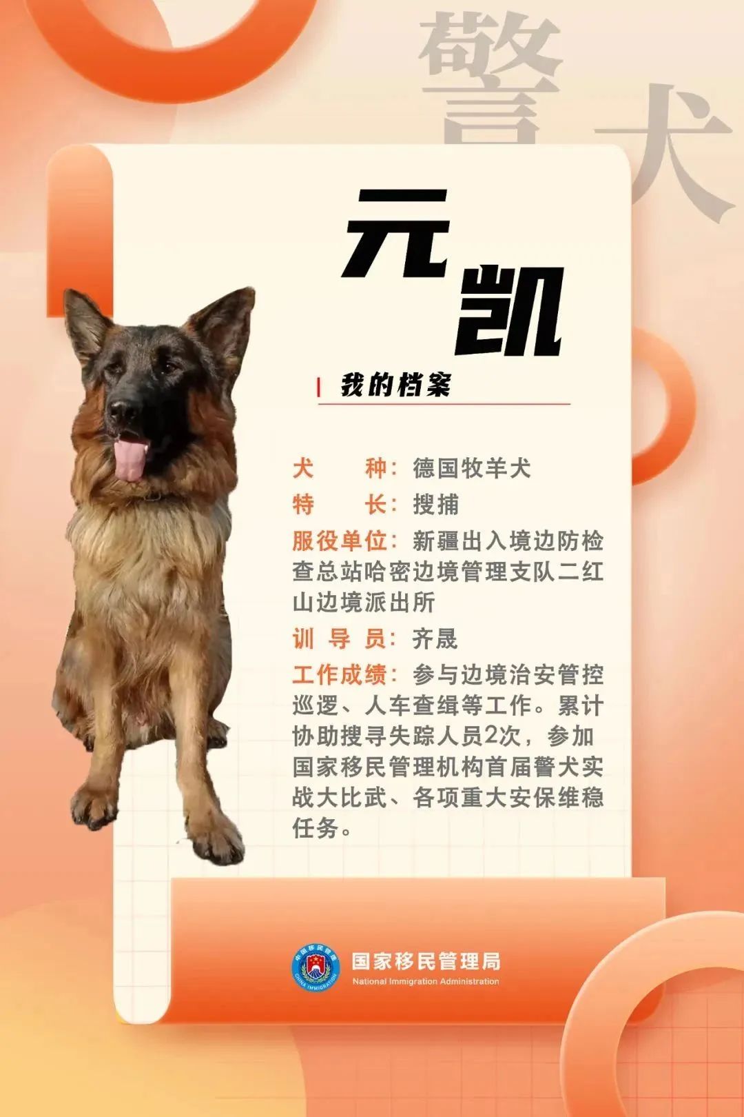 功勋犬墓碑图片