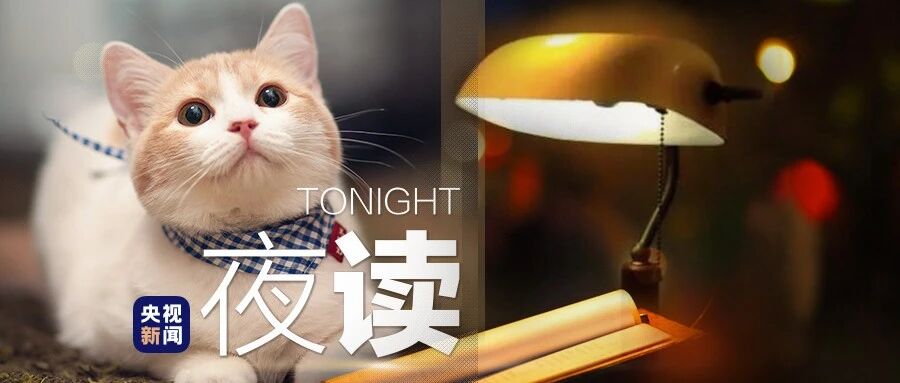 当它这样看着你……太治愈了