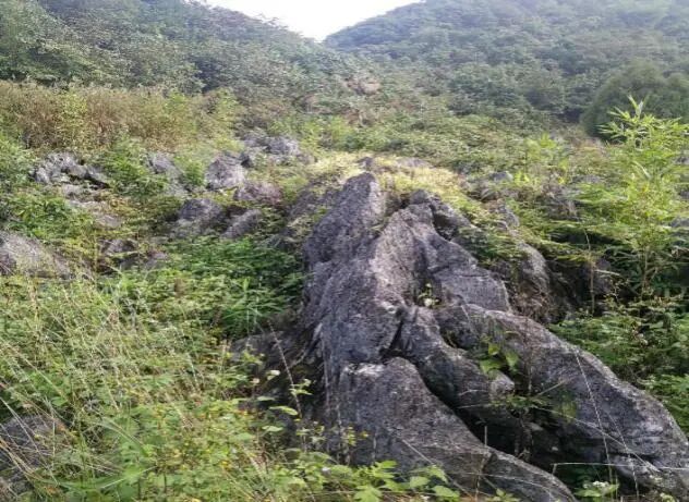 樂業“9·10”隧道坍塌事故報告公布：現有技術難以完全查明的特殊不良地質災害的圖5