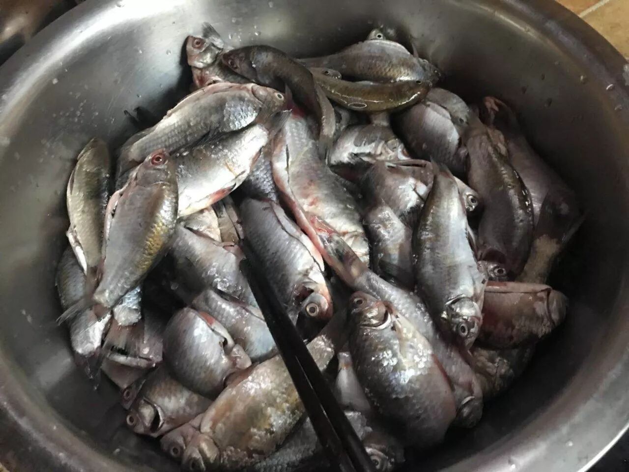 二十元买了七斤曹鱼,结果竟然是……读过之后你一定不会后悔,!
