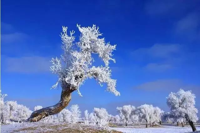 迄今為止，這是中國最昂貴的美景，令人敬畏！ 未分類 第94張