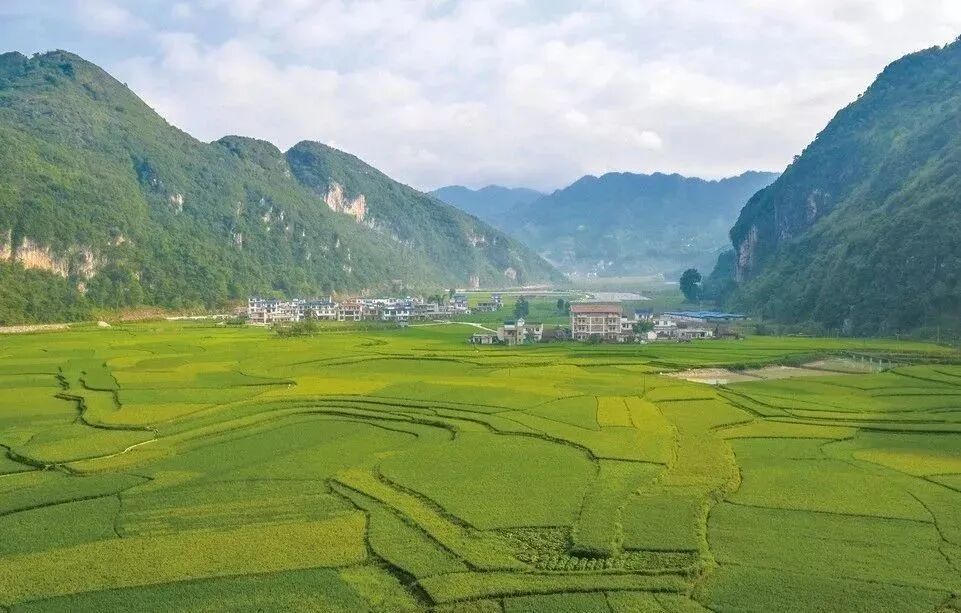 而作为"中国芒果之乡"的广西百色,好的芒果当然来自适宜的产地,因为