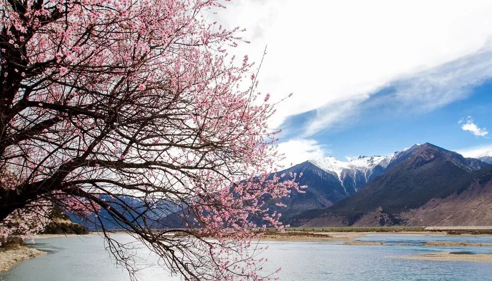 波密四季美景人间值得