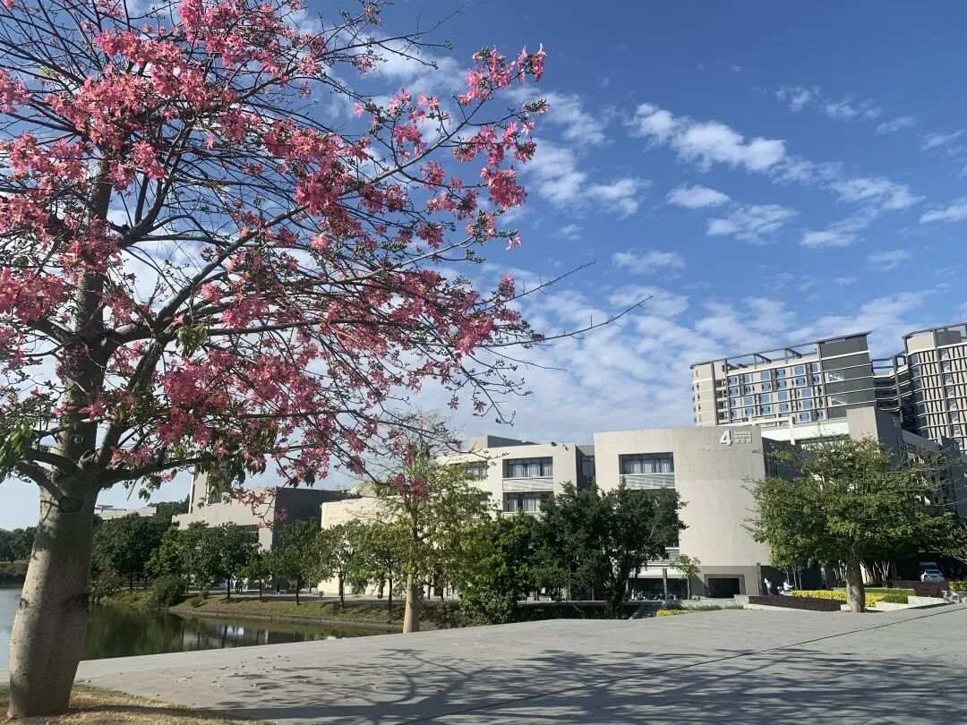 广州科技职业技术大学2022年普通专升本招生简章