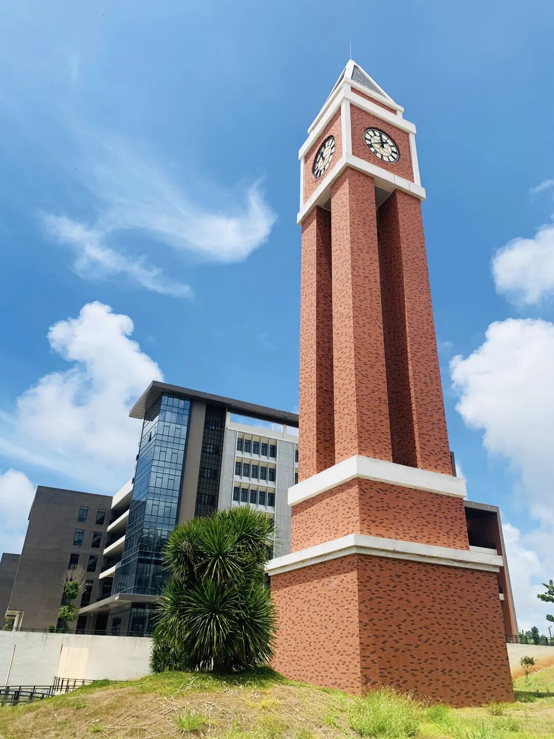 广州科技职业技术大学2021高考录取通知书正在路上!-高考直通车