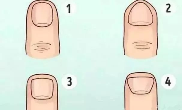 你的中指是什么样子的？你就是什么命，超级准！