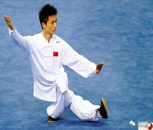 杨氏太极拳传统套路与竞赛套路的区别转自网络