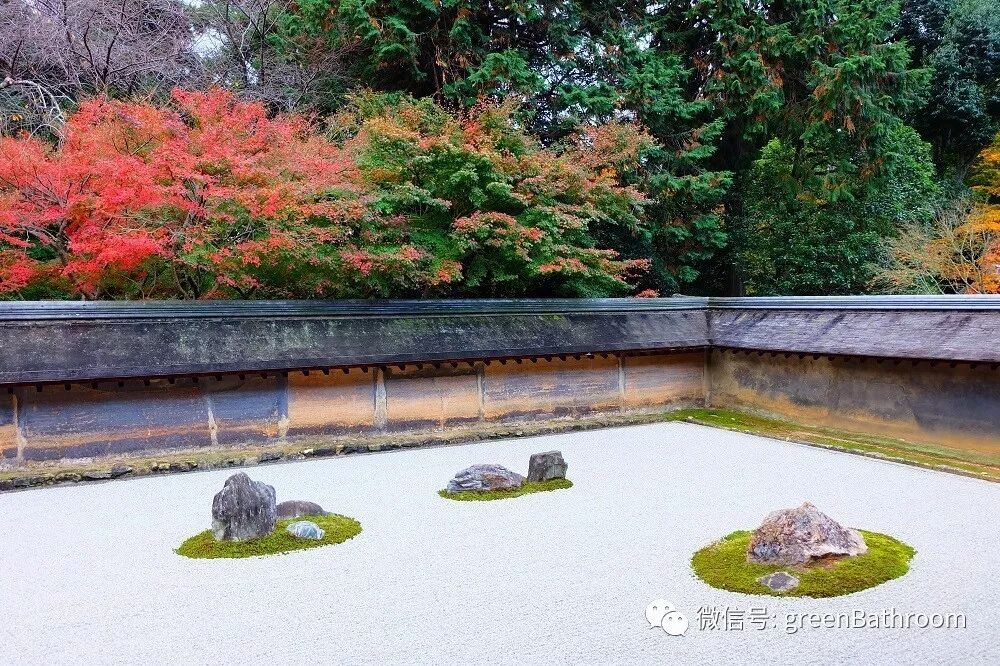 你還缺一棵秋色植物 暖澡堂自然研究所 微文庫